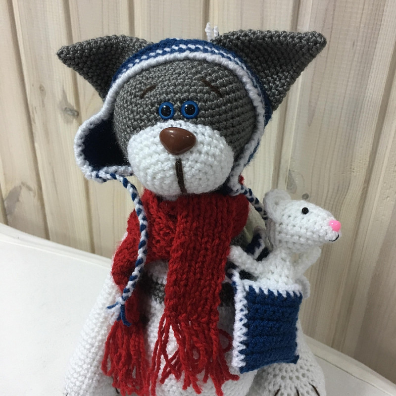 Кот в шапке с мышью