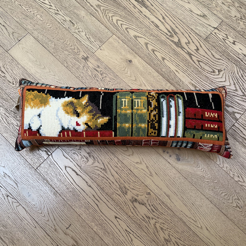 Кіт в бібліотеці