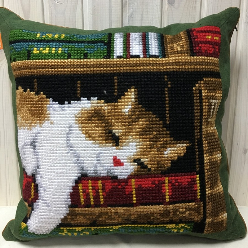 Библиотека кот