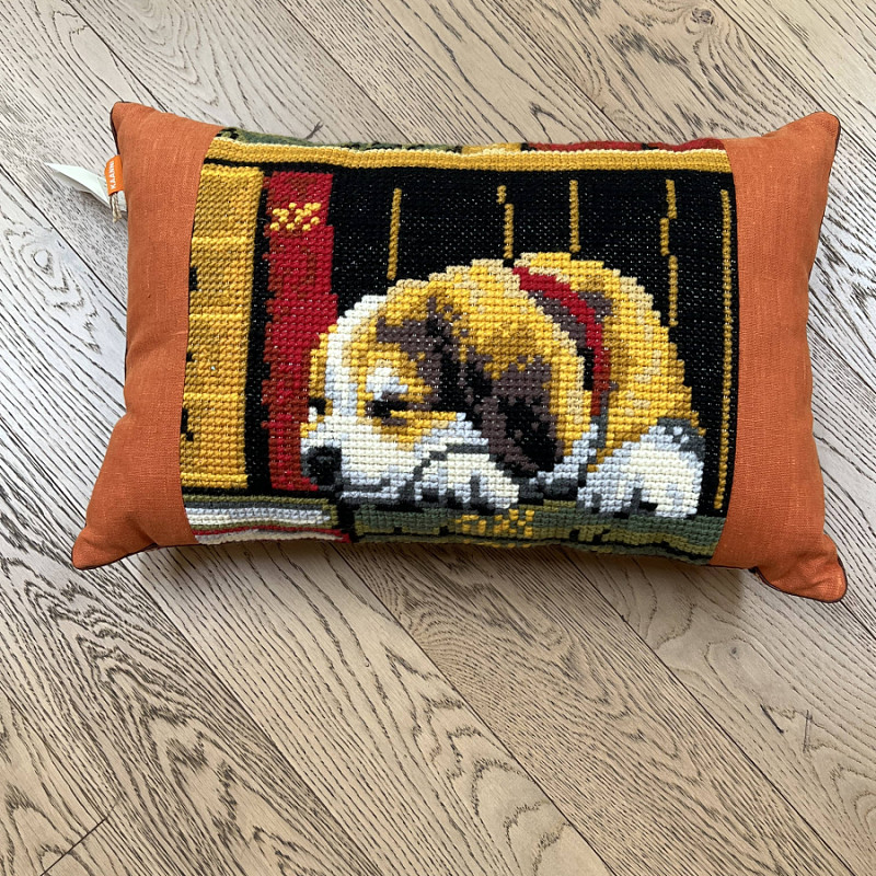 Цуценя в бібліотеці