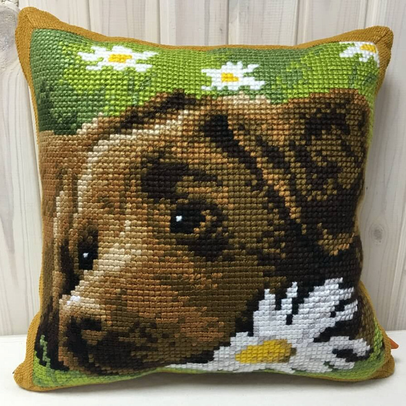 Шоколадный лабрадор с ромашкой